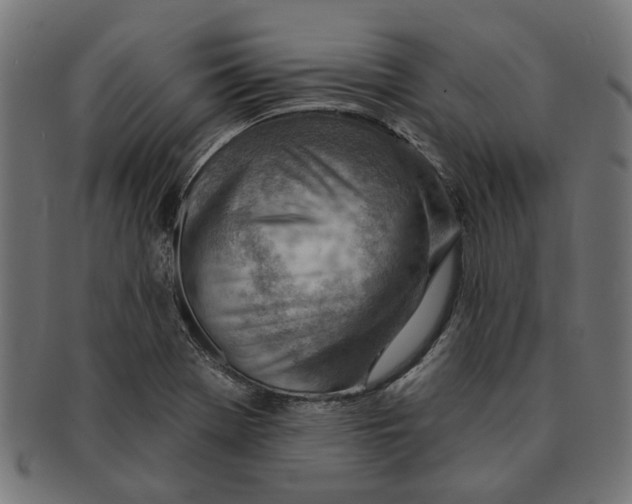 X0000091231369200709061511