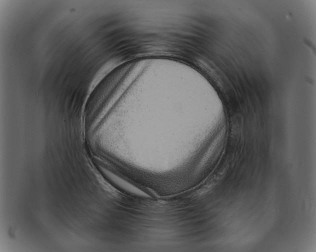 X0000091231370200709061511