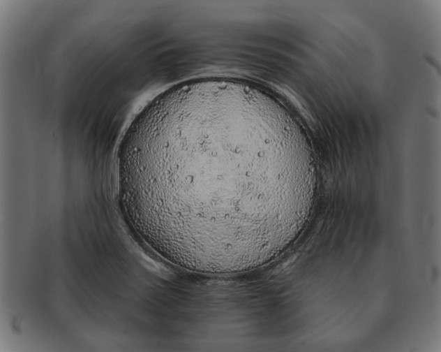 X0000091231371200709061511