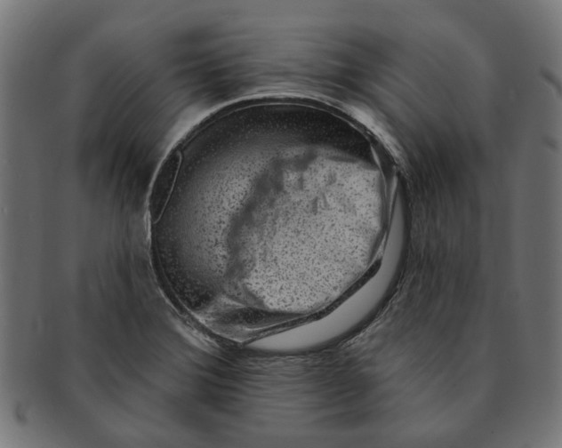 X0000091231372200709061511