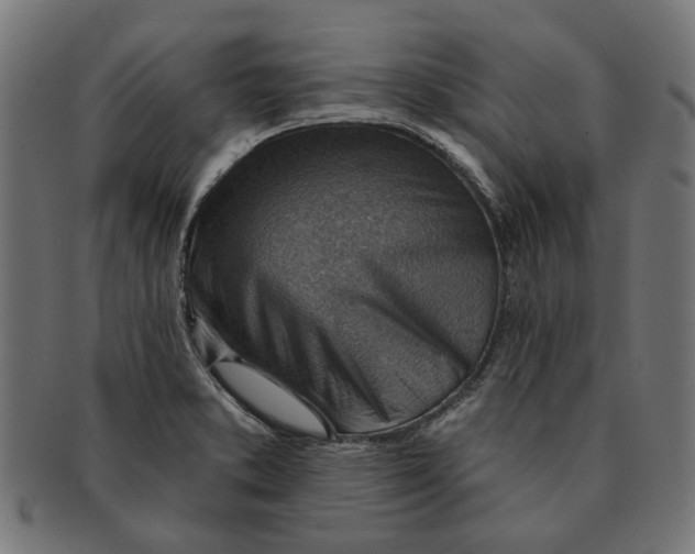 X0000091231373200709061511