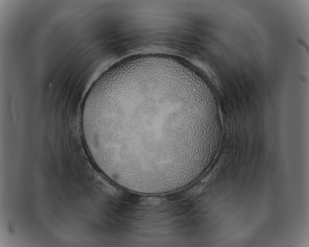 X0000091231374200709061511