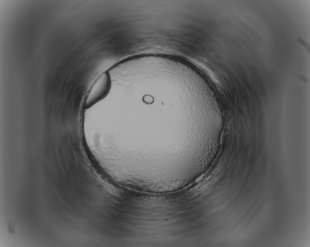 X0000091231375200709061510