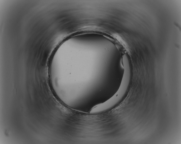 X0000091231376200709061510