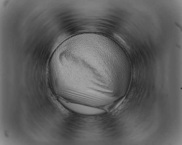 X0000091231378200709061510