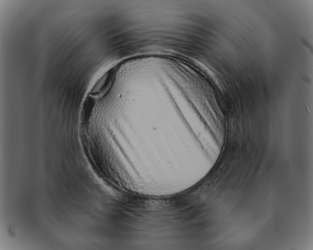 X0000091231379200709061510