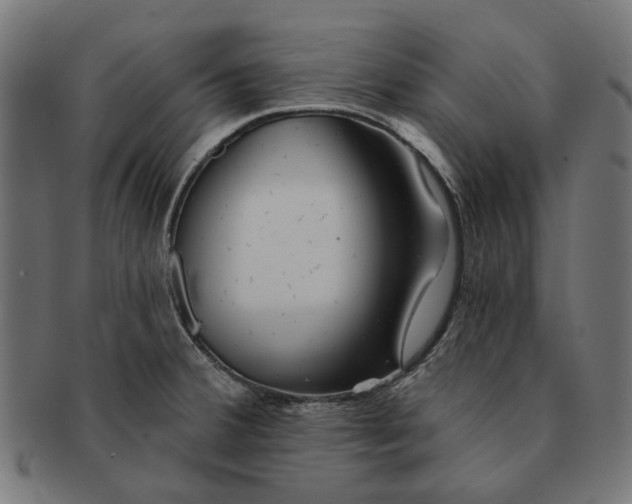 X0000091231380200709061510