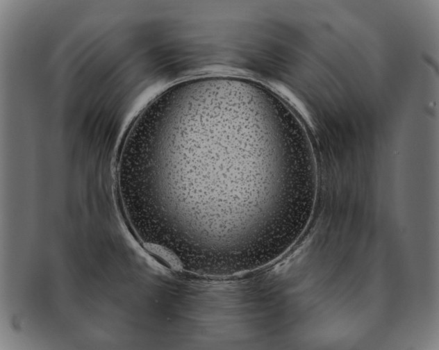 X0000091231381200709061510