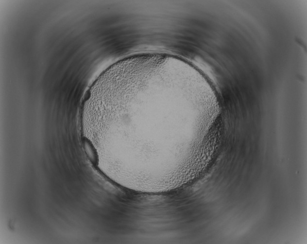 X0000091231382200709061510