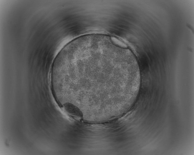 X0000091231383200709061510
