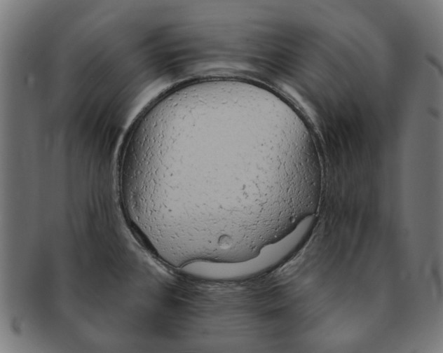 X0000091231384200709061510