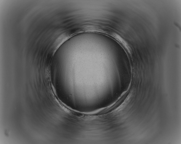 X0000091231385200709061510