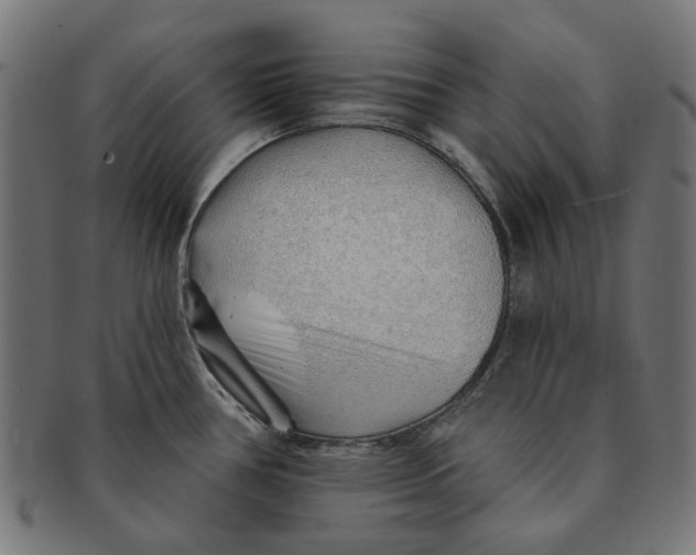X0000091231386200709061510
