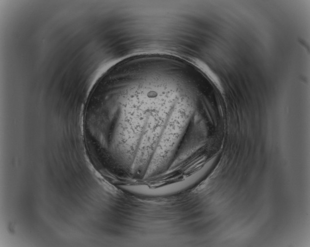 X0000091231388200709061510