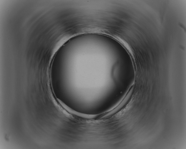 X0000091231389200709061510