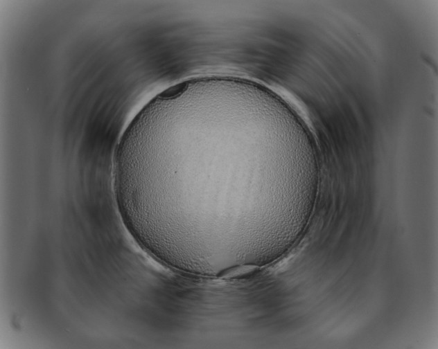 X0000091231390200709061510