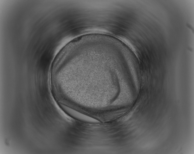 X0000091231391200709061510