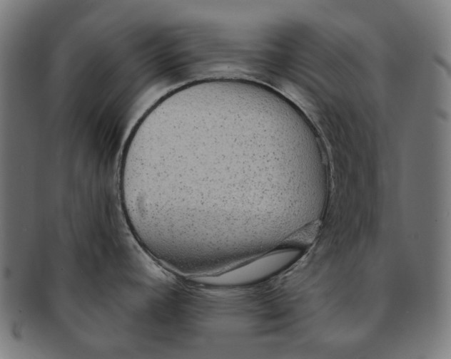 X0000091231392200709061510