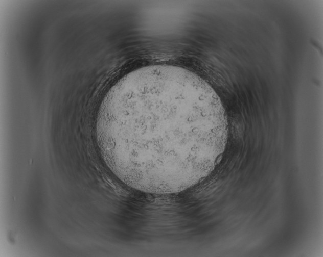 X0000091231393200709061510