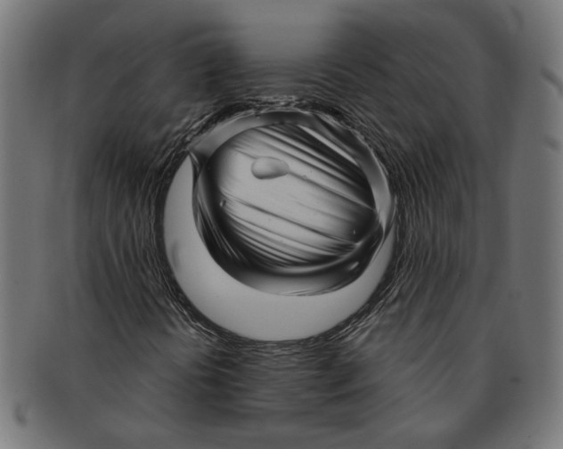 X0000091231394200709061510