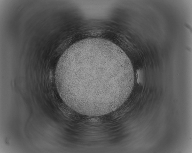 X0000091231395200709061510