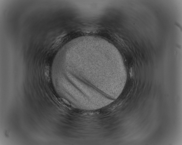 X0000091231396200709061510