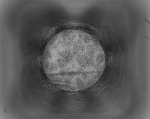 X0000091231397200709061510