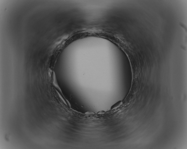 X0000091231398200709061510