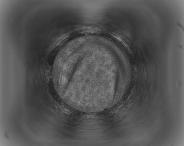 X0000091231399200709061510
