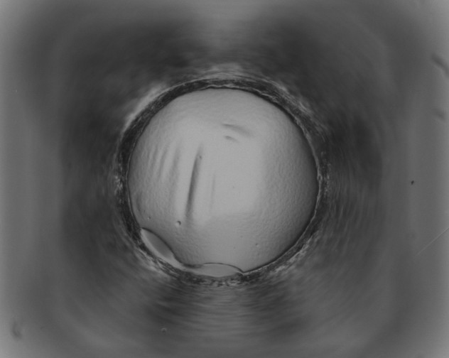 X0000091231400200709061510