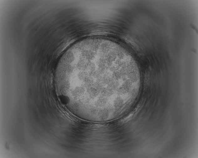 X0000091231401200709061510