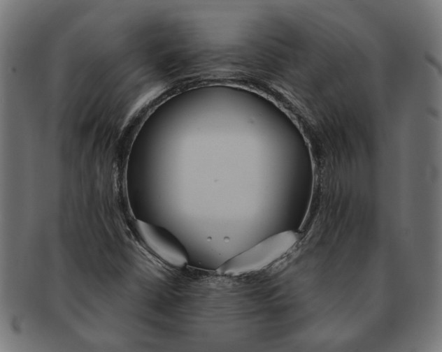 X0000091231402200709061510