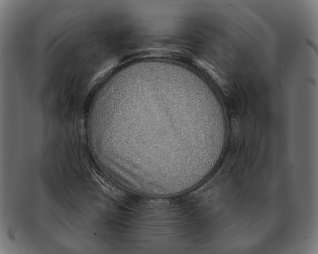 X0000091231403200709061510