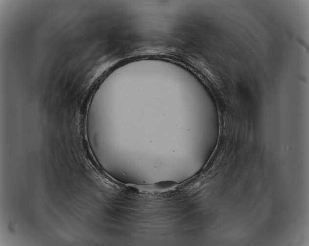 X0000091231404200709061510