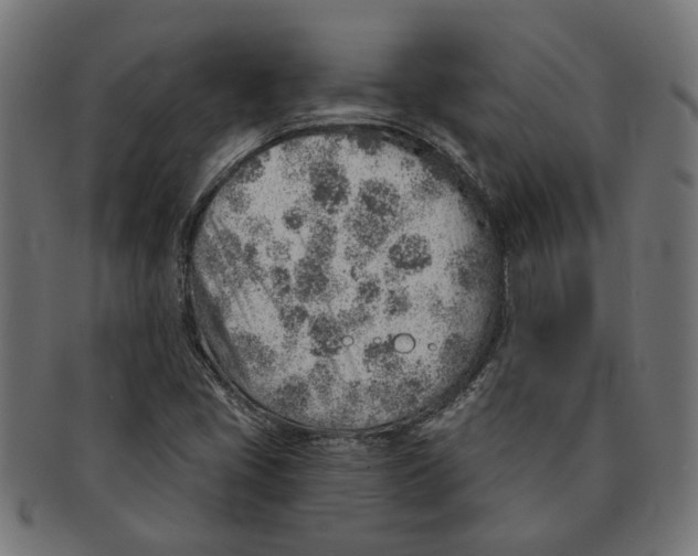 X0000091231405200709061510