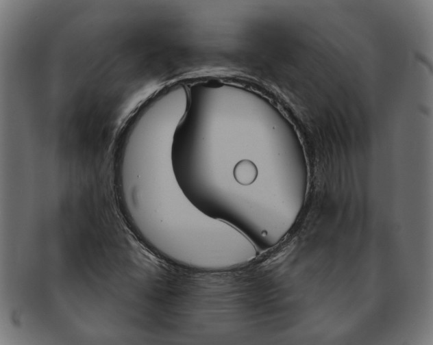 X0000091231406200709061510