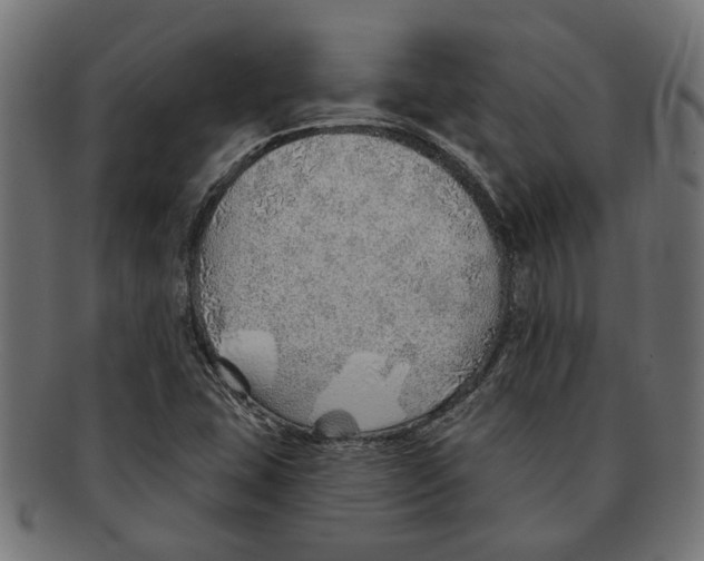 X0000091231407200709061510