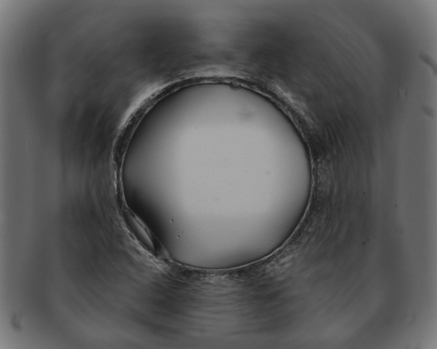 X0000091231408200709061510