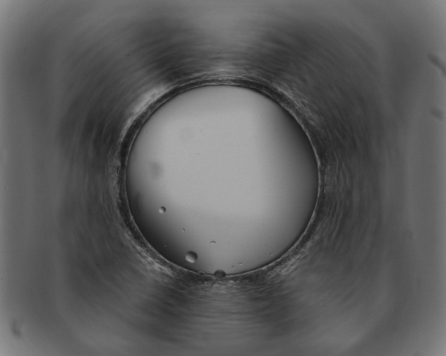 X0000091231410200709061510