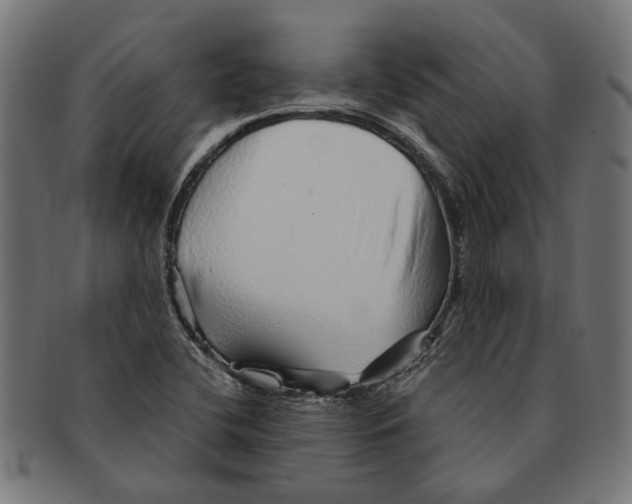 X0000091231412200709061510