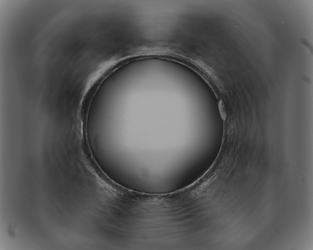 X0000091231414200709061510