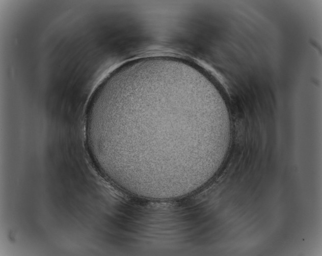 X0000091231415200709061510