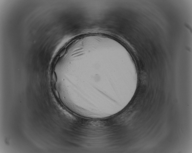 X0000091231416200709061510