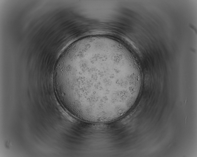 X0000091231417200709061510