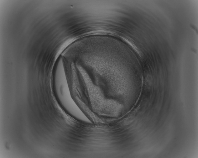 X0000091231418200709061510