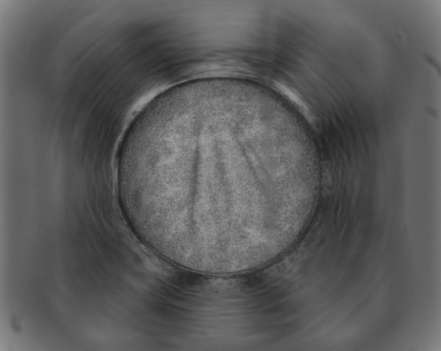 X0000091231419200709061510