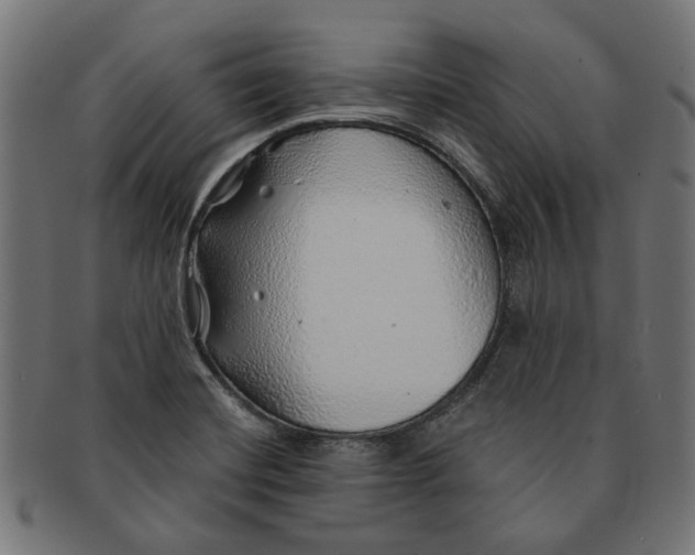 X0000091231420200709061510