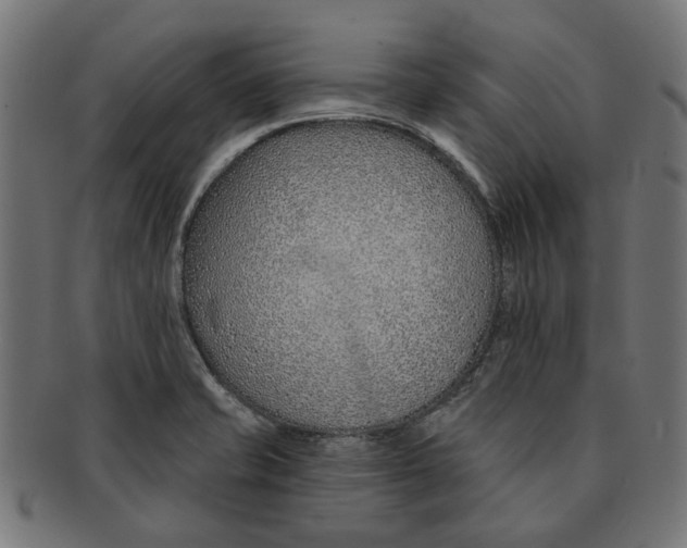 X0000091231421200709061510