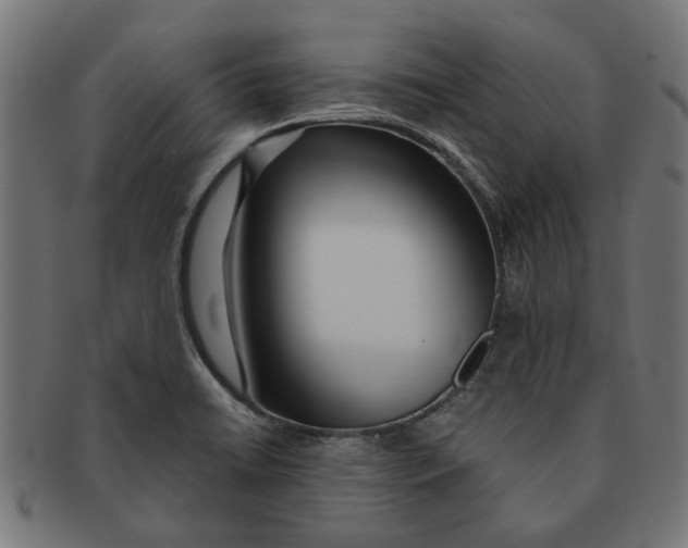 X0000091231422200709061510
