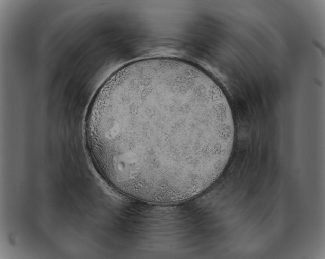 X0000091231423200709061510